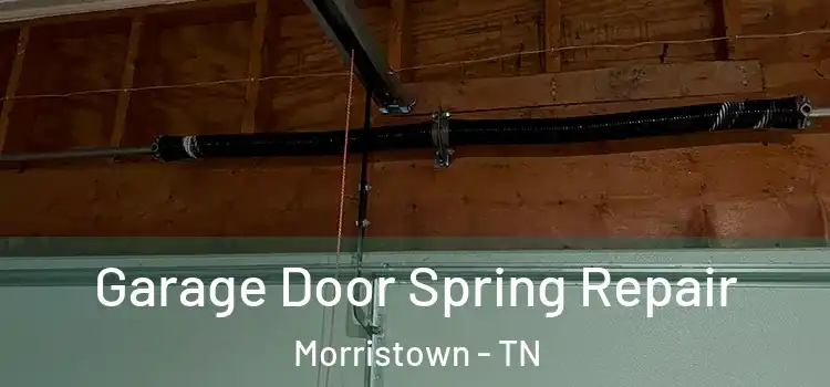  Garage Door Spring Repair Morristown - TN